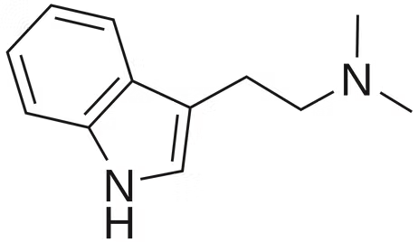 Estructura molecular de la Dimetiltriptamina (DMT)