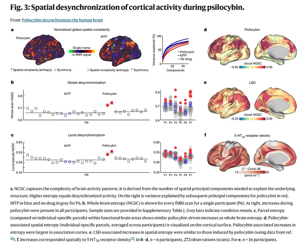 Fig. 3: Spatial desynchronization of cortical activity during psilocybin — Nature